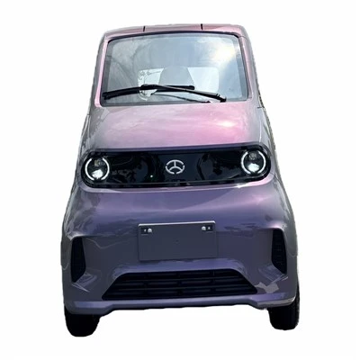 Auto elettrica-a bassa velocità